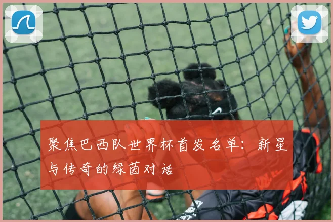 聚焦巴西队世界杯首发名单：新星与传奇的绿茵对话