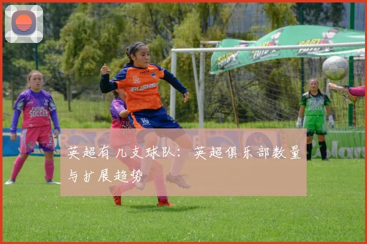 英超有几支球队：英超俱乐部数量与扩展趋势
